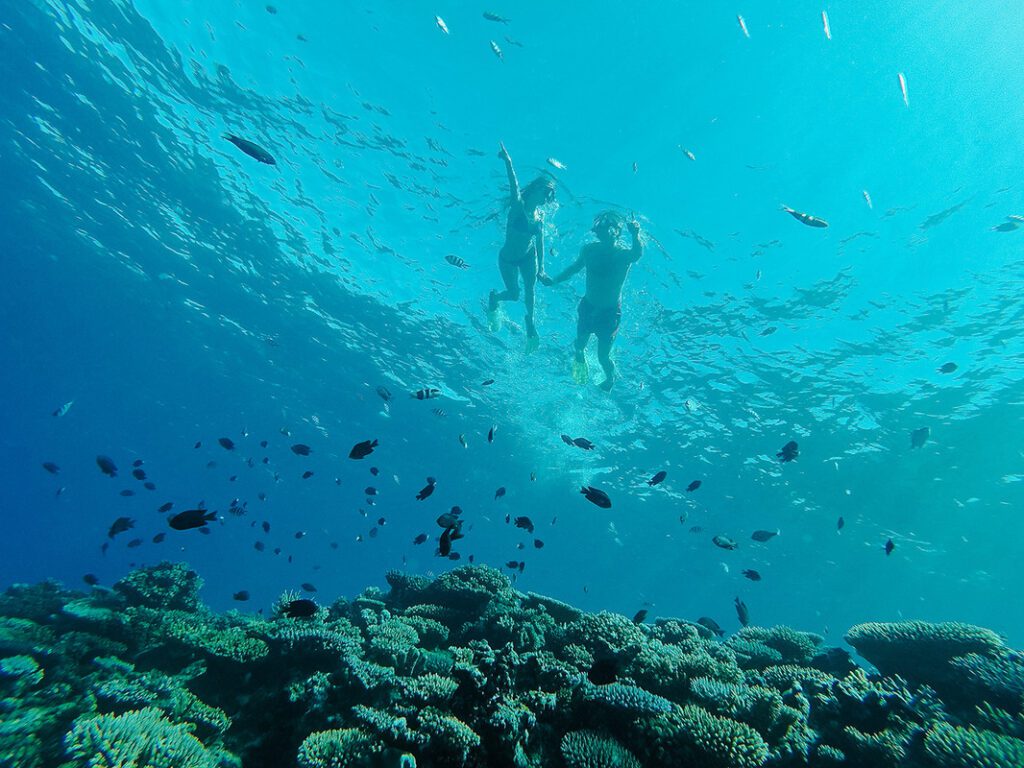 snorkelling in fiji